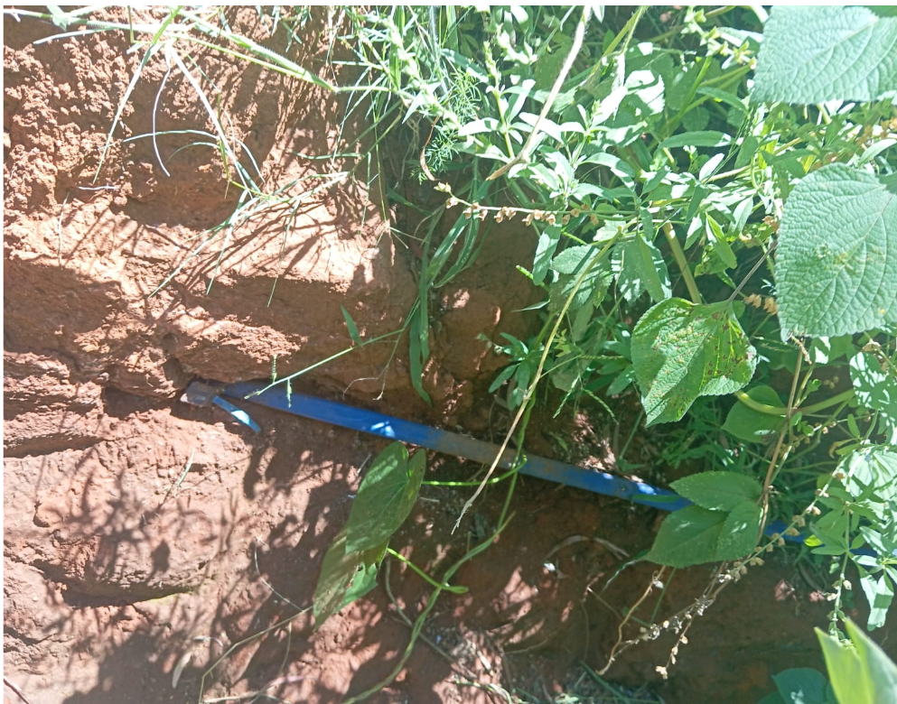 1c667bb4d3cb62f19001efc99795f6f77254a5ae454e892e1a1a3960d189bdc82e9ef0e883bcc6a1?t=0a7ae05893d59ba8e3926cc6f1dbb436