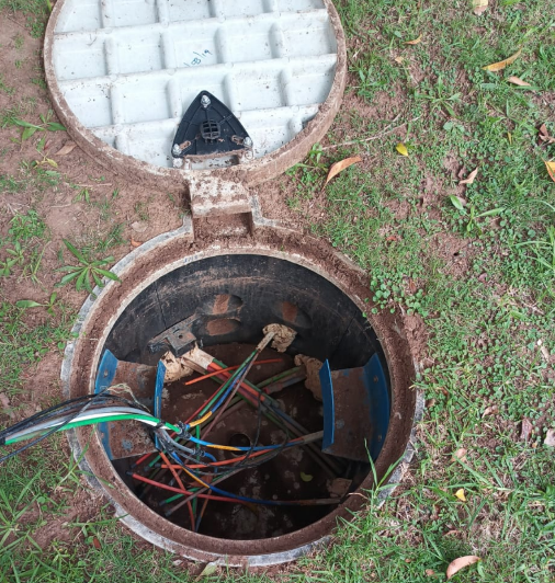 350e438ee8b3cfe0a60e5ccc0feb7ba07002d428c3002cdab8d065aadf5b1c7e1e9ce6d0d0497336?t=792aaaaf52c7f55c23b244e492a0dfd3