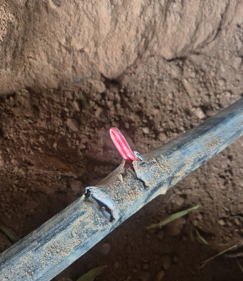 4d074ad4da0b34763046f6e2a34f265502b34578c8783351d32e6f75cdb768daec4eea5cca367f51?t=2706cbcfc93936acd87d2bdd68d3120f