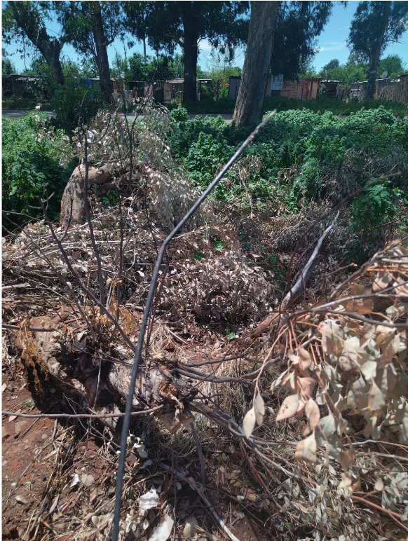 9e5ca24ed2eae9ae155f5224dc0a729ba9a54a43d8e4d9ea1df65d7790f56f92b356f835ab717d55?t=3e28d0d491d21706de88fbe0e7efb644