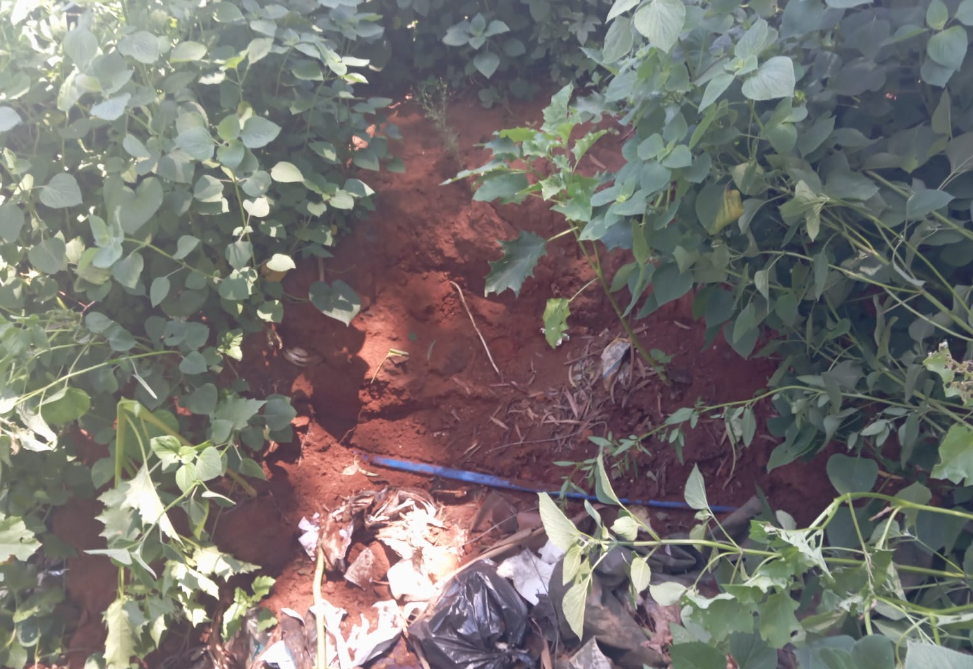 d824d1e195b0d33ce9af67faa66e16affd73f6fd5b7484206c314ca6413c5a51e55e6c3cdd9ccf13?t=d8351ec2aac0114e8814090f0b74f095